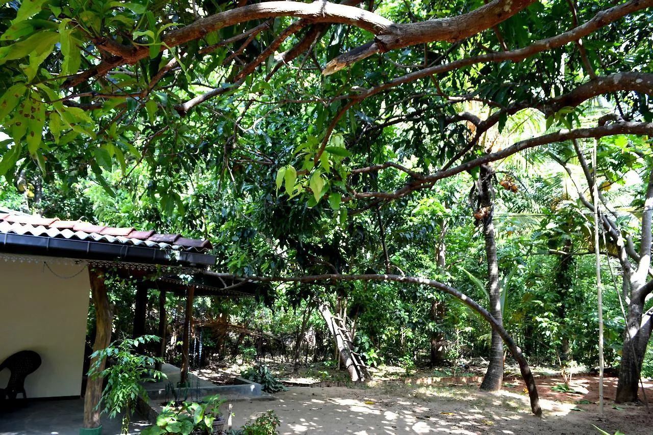 Sigiriya Freedom Lodge Дамбулла