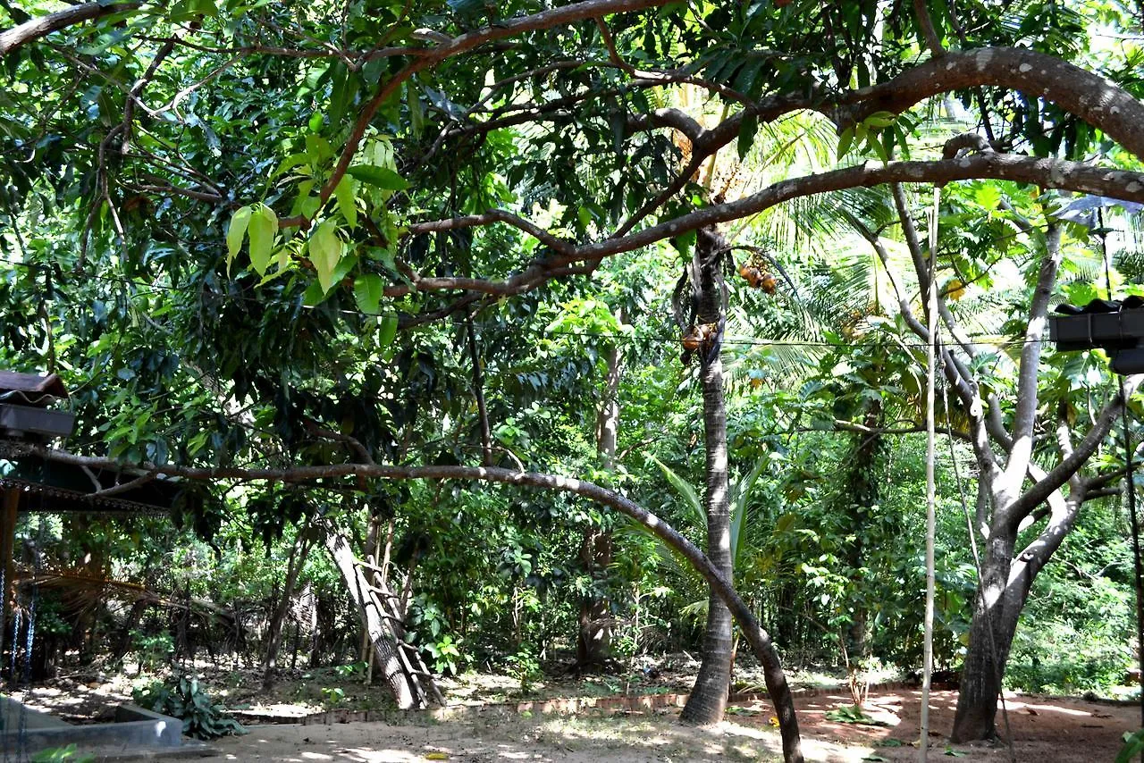 Sigiriya Freedom Lodge Дамбулла