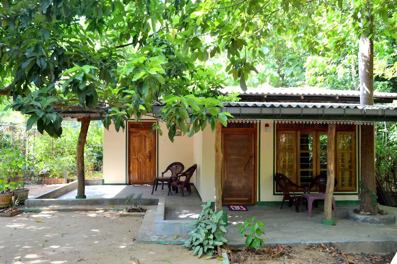 Sigiriya Freedom Lodge Дамбулла