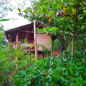 Séjour chez l'habitant Akash Treehouse, Sigirîya