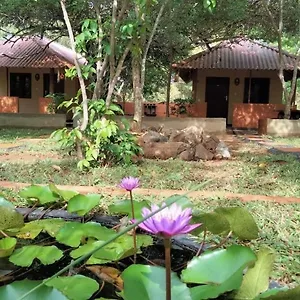 Lodge Niyagala, Sigirîya